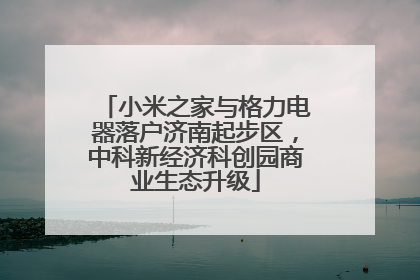 小米之家与格力电器落户济南起步区，中科新经济科创园商业生态升级