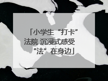 小学生“打卡”法院 沉浸式感受“法”在身边