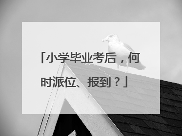 小学毕业考后，何时派位、报到？