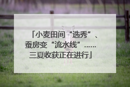 小麦田间“选秀”、蚕房变“流水线”……三夏收获正在进行