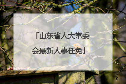 山东省人大常委会最新人事任免