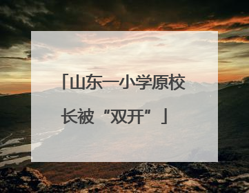 山东一小学原校长被“双开”