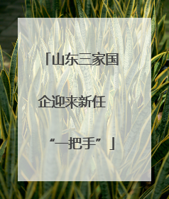 山东三家国企迎来新任 “一把手”