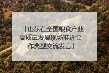 山东在全国粮食产业高质量发展现场推进会作典型交流发言