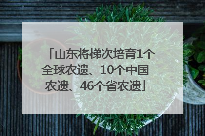 山东将梯次培育1个全球农遗、10个中国农遗、46个省农遗