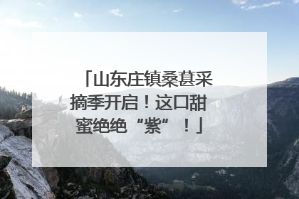 山东庄镇桑葚采摘季开启！这口甜蜜绝绝“紫”！