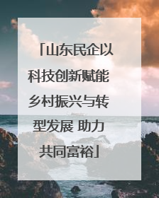 山东民企以科技创新赋能乡村振兴与转型发展 助力共同富裕