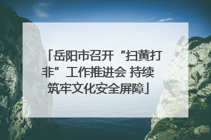 岳阳市召开“扫黄打非”工作推进会 持续筑牢文化安全屏障