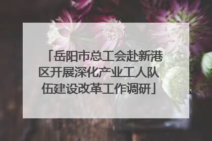 岳阳市总工会赴新港区开展深化产业工人队伍建设改革工作调研