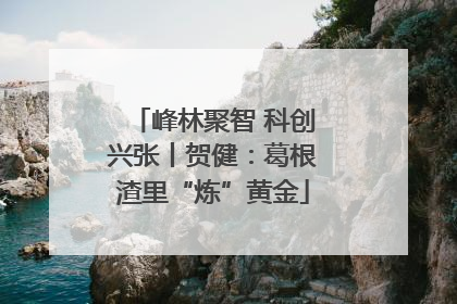 峰林聚智 科创兴张丨贺健：葛根渣里“炼”黄金