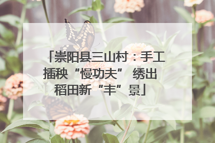 崇阳县三山村：手工插秧“慢功夫” 绣出稻田新“丰”景