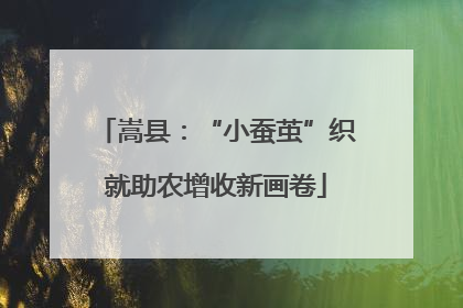 嵩县：“小蚕茧”织就助农增收新画卷