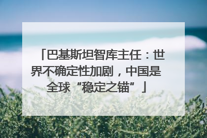 巴基斯坦智库主任：世界不确定性加剧，中国是全球“稳定之锚”