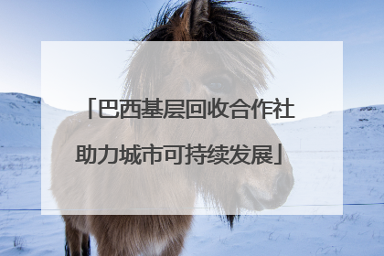 巴西基层回收合作社助力城市可持续发展