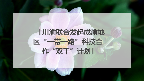 川渝联合发起成渝地区“一带一路”科技合作“双千”计划