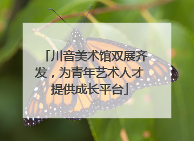 川音美术馆双展齐发，为青年艺术人才提供成长平台