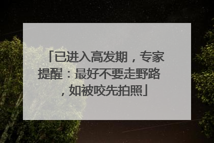 已进入高发期，专家提醒：最好不要走野路，如被咬先拍照