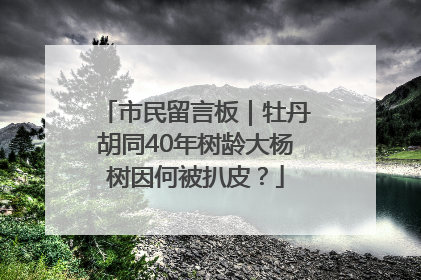 市民留言板｜牡丹胡同40年树龄大杨树因何被扒皮？