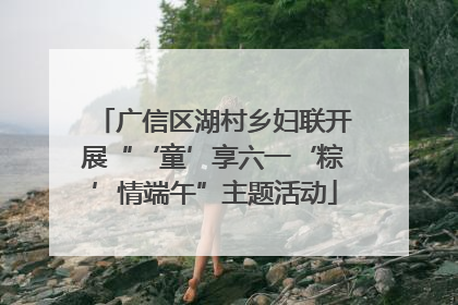 广信区湖村乡妇联开展“‘童’享六一‘粽’情端午”主题活动
