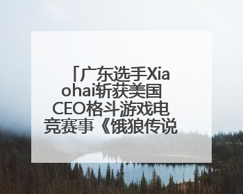 广东选手Xiaohai斩获美国CEO格斗游戏电竞赛事《饿狼传说》项目冠军