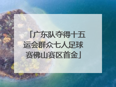 广东队夺得十五运会群众七人足球赛佛山赛区首金
