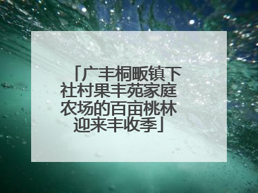 广丰桐畈镇下社村果丰苑家庭农场的百亩桃林迎来丰收季