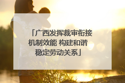 广西发挥裁审衔接机制效能 构建和谐稳定劳动关系