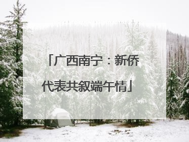 广西南宁：新侨代表共叙端午情