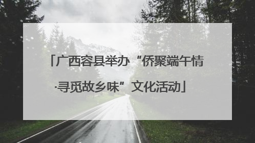 广西容县举办“侨聚端午情·寻觅故乡味”文化活动