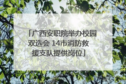 广西安职院举办校园双选会 14市消防救援支队提供岗位