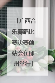 广西音乐舞蹈比赛决赛前站会在柳州举行