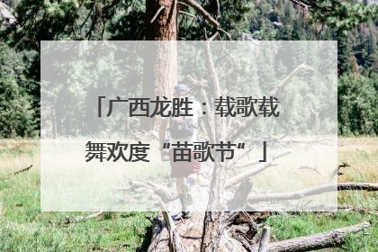 广西龙胜：载歌载舞欢度“苗歌节”