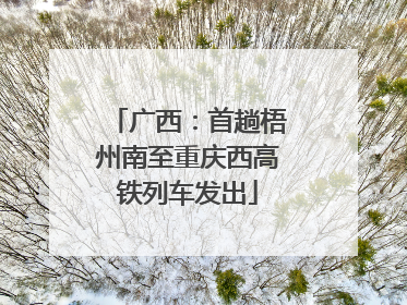 广西：首趟梧州南至重庆西高铁列车发出