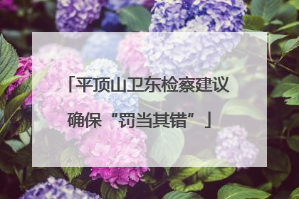 平顶山卫东检察建议确保“罚当其错”