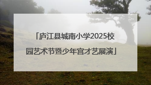 庐江县城南小学2025校园艺术节暨少年宫才艺展演