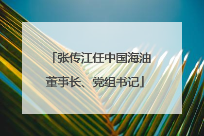 张传江任中国海油董事长、党组书记