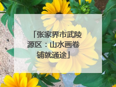 张家界市武陵源区：山水画卷铺就通途