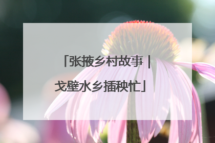 张掖乡村故事｜戈壁水乡插秧忙