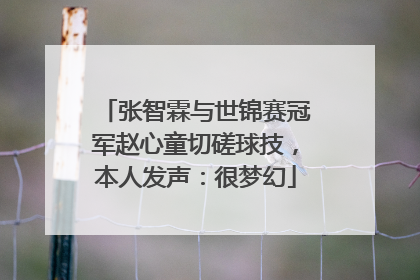张智霖与世锦赛冠军赵心童切磋球技，本人发声：很梦幻