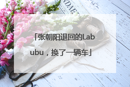 张朝阳退回的Labubu，换了一辆车