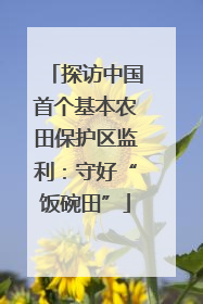 探访中国首个基本农田保护区监利：守好“饭碗田”