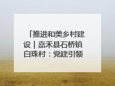 推进和美乡村建设｜嘉禾县石桥镇白珠村：党建引领破“空”局 乡贤聚力绘就新图景