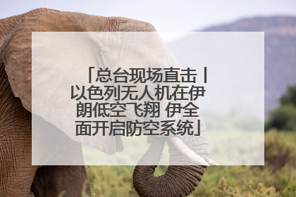 总台现场直击丨以色列无人机在伊朗低空飞翔 伊全面开启防空系统