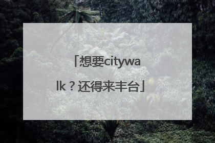 想要citywalk？还得来丰台