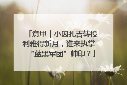 意甲｜小因扎吉转投利雅得新月，谁来执掌“蓝黑军团”帅印？