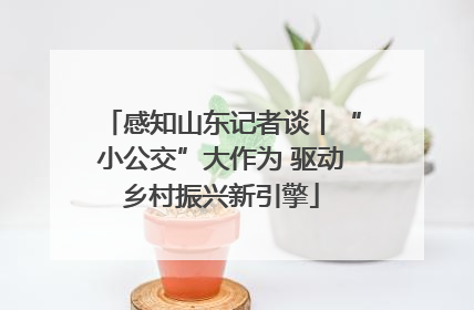 感知山东记者谈丨“小公交”大作为 驱动乡村振兴新引擎