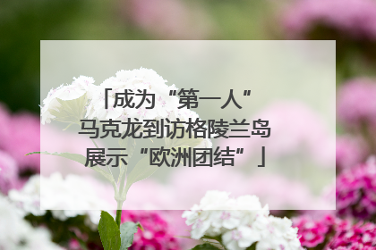 成为“第一人” 马克龙到访格陵兰岛展示“欧洲团结”