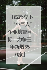 成都立下“小巨人”企业培育目标：力争三年新增350家