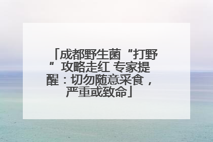 成都野生菌“打野”攻略走红 专家提醒：切勿随意采食，严重或致命