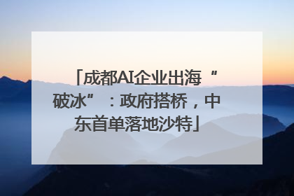 成都AI企业出海“破冰”：政府搭桥，中东首单落地沙特